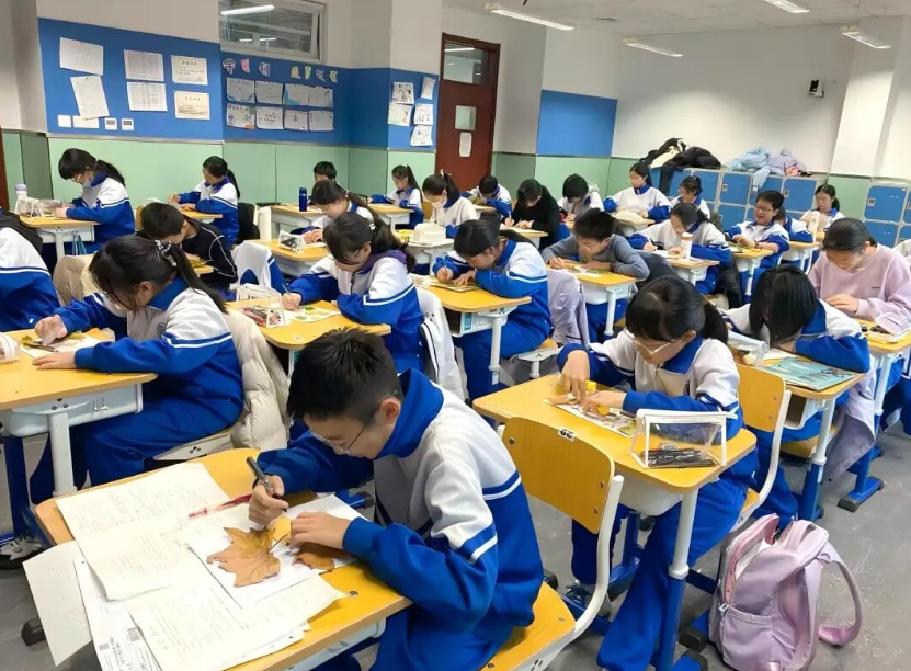 拾叶为笺  叶落成诗——北京十二中本部初一、初二落叶创意拼画活动